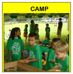 Camp  at Creative Academy Childcare & Camp