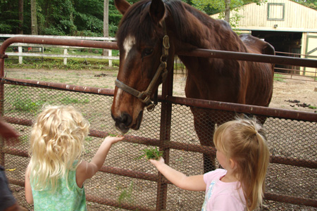 Summer Camp at Creative Academy Childcare & Camp Summer Camp at Creative Academy Childcare & Camp